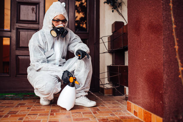 Attic and Crawl Space Rodent Treatment in Shaw Heights